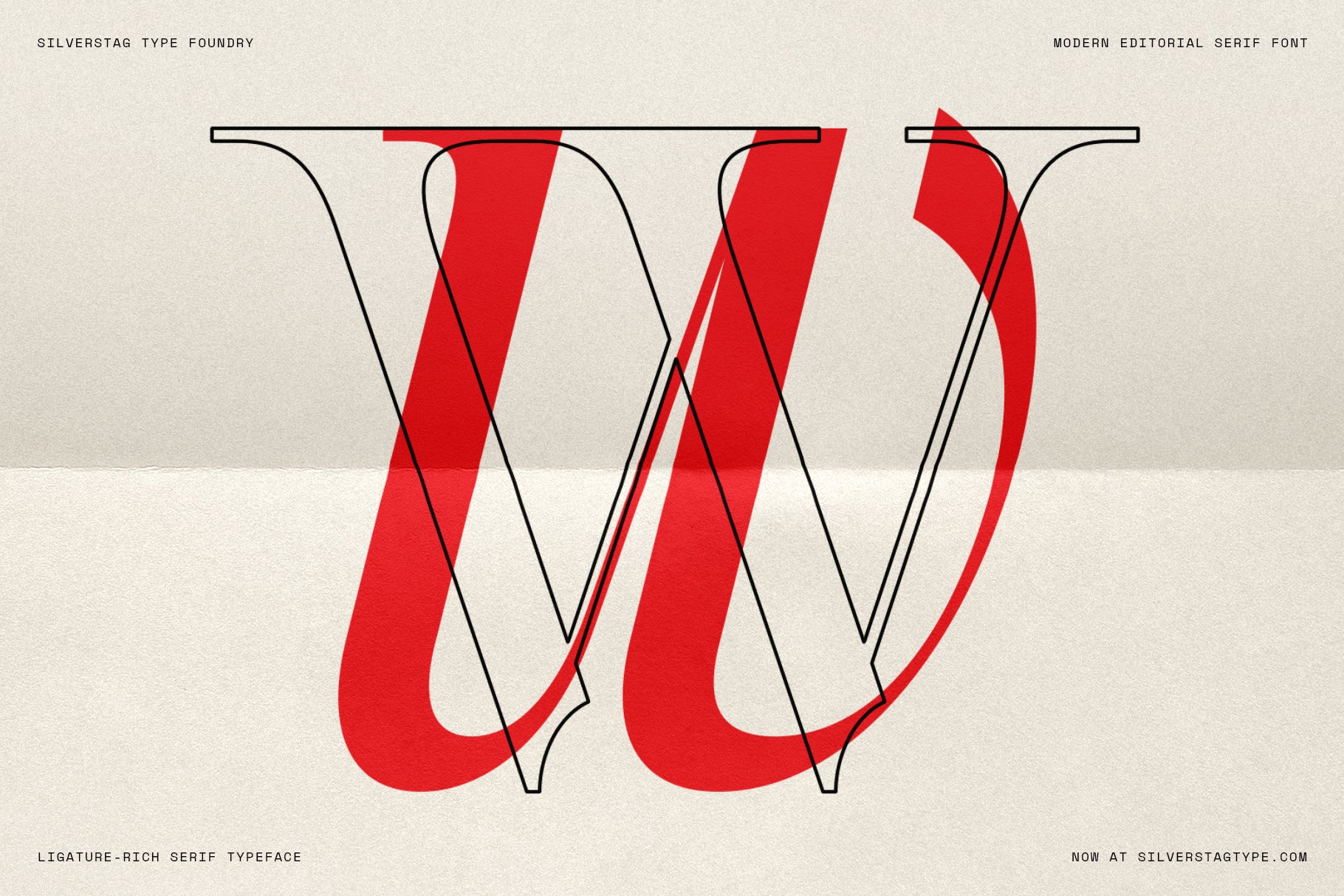 SLTF The Elfkin Editorial – Modern Serif Typeface