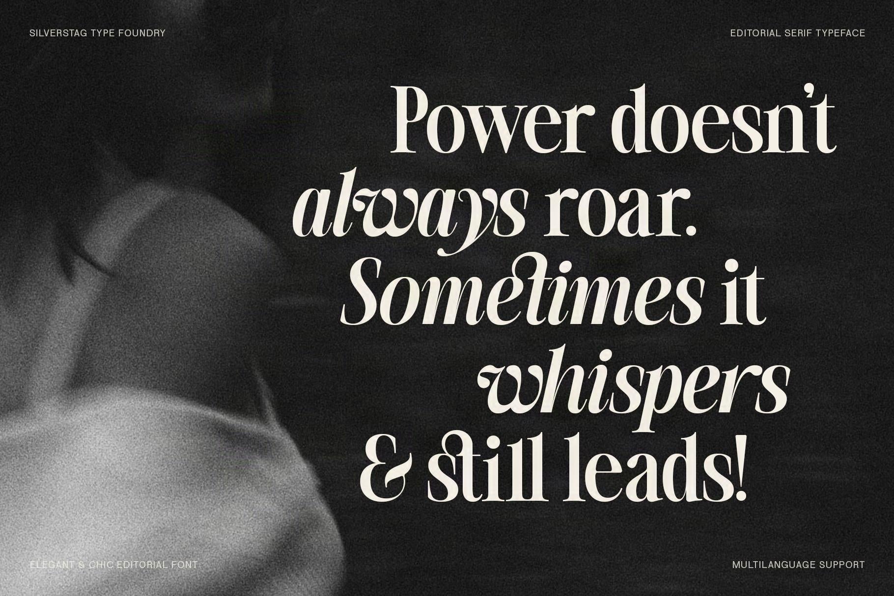 SLTF The Silver Editorial – A Nostalgic 18-Font Serif Typeface