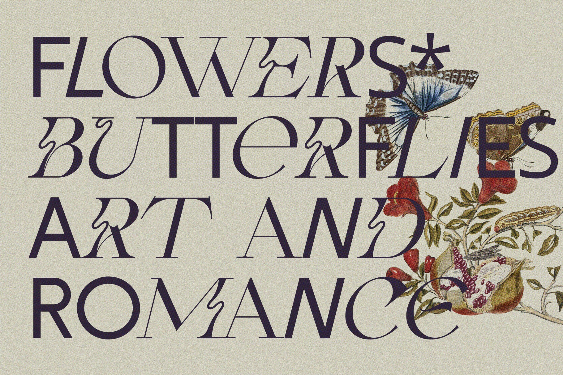 Fleur Display - Sans & Serif Font Duo