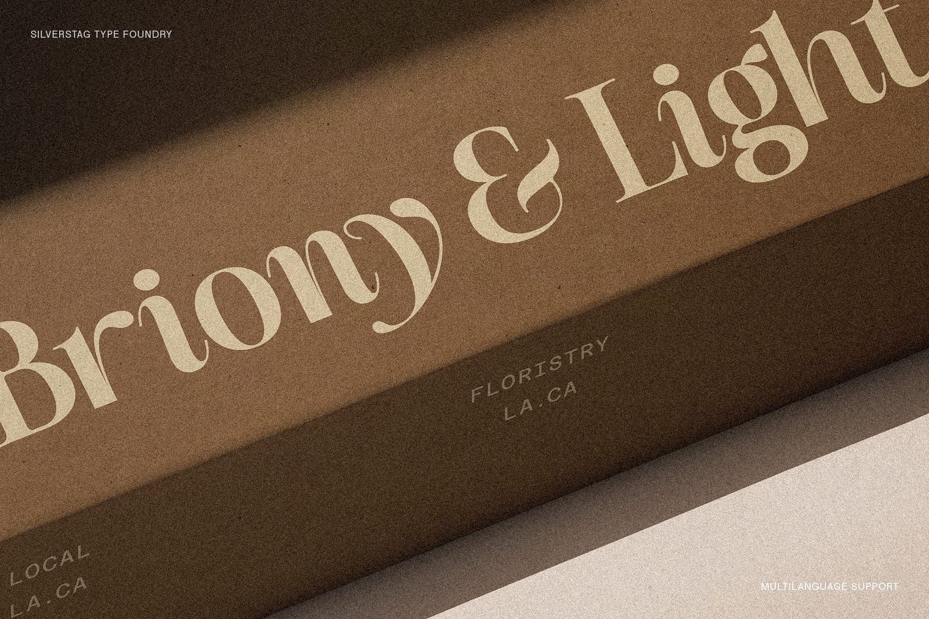 SLTF The Silver Editorial – A Nostalgic 18-Font Serif Typeface