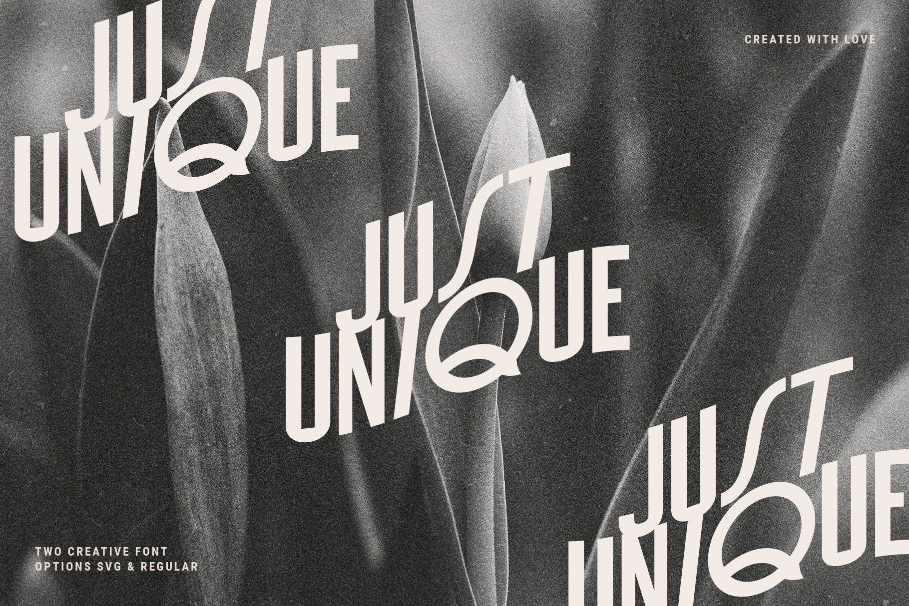 Bella Vista - Creative SVG Sans Font