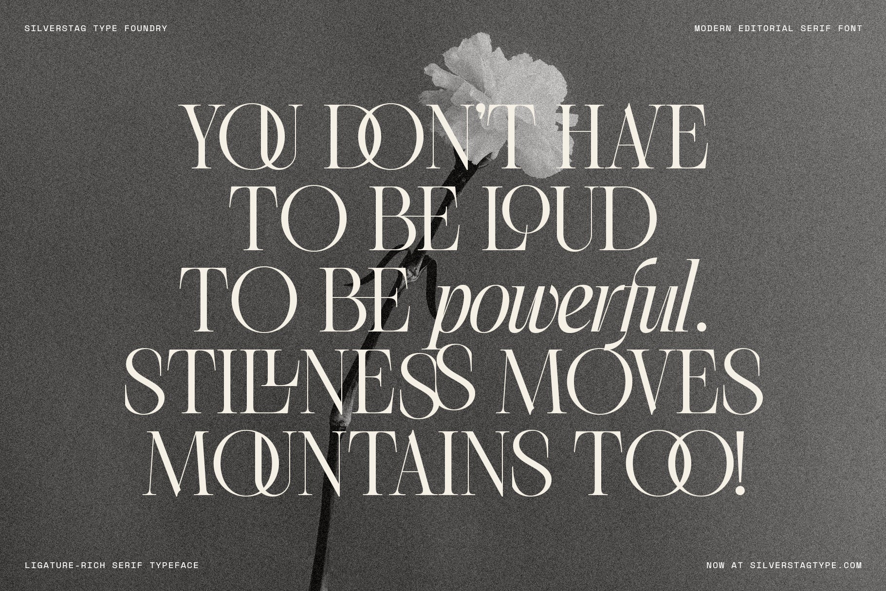 SLTF The Elfkin Editorial – Modern Serif Typeface