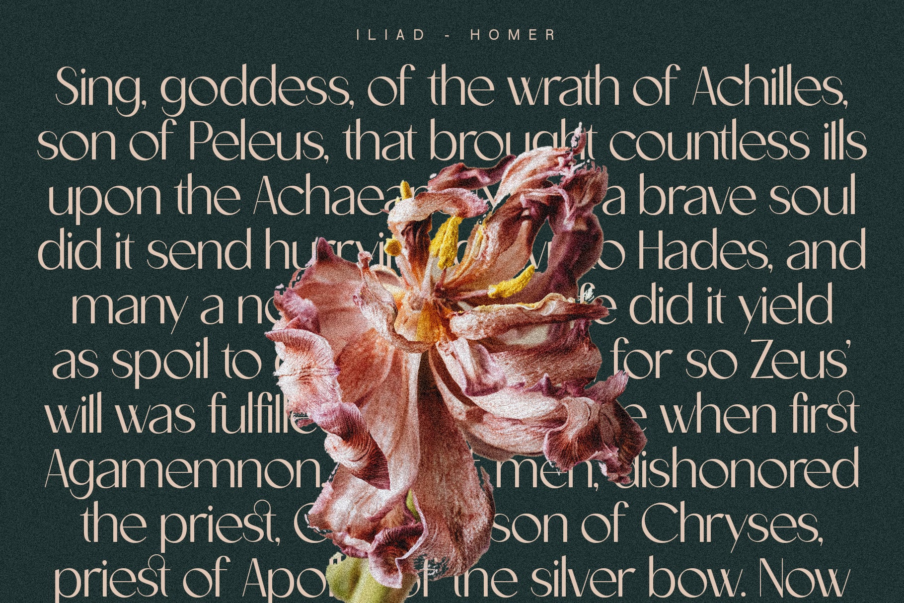 Castillet - Elegant Sans Serif Font With Italics