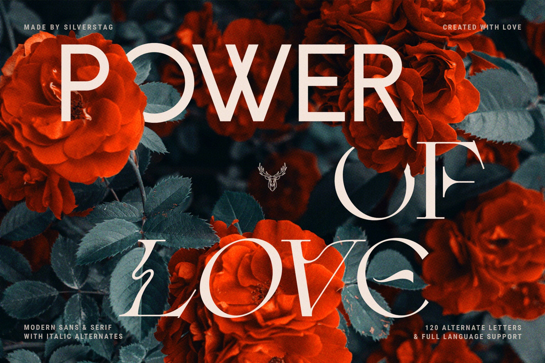 Fleur Display - Sans & Serif Font Duo