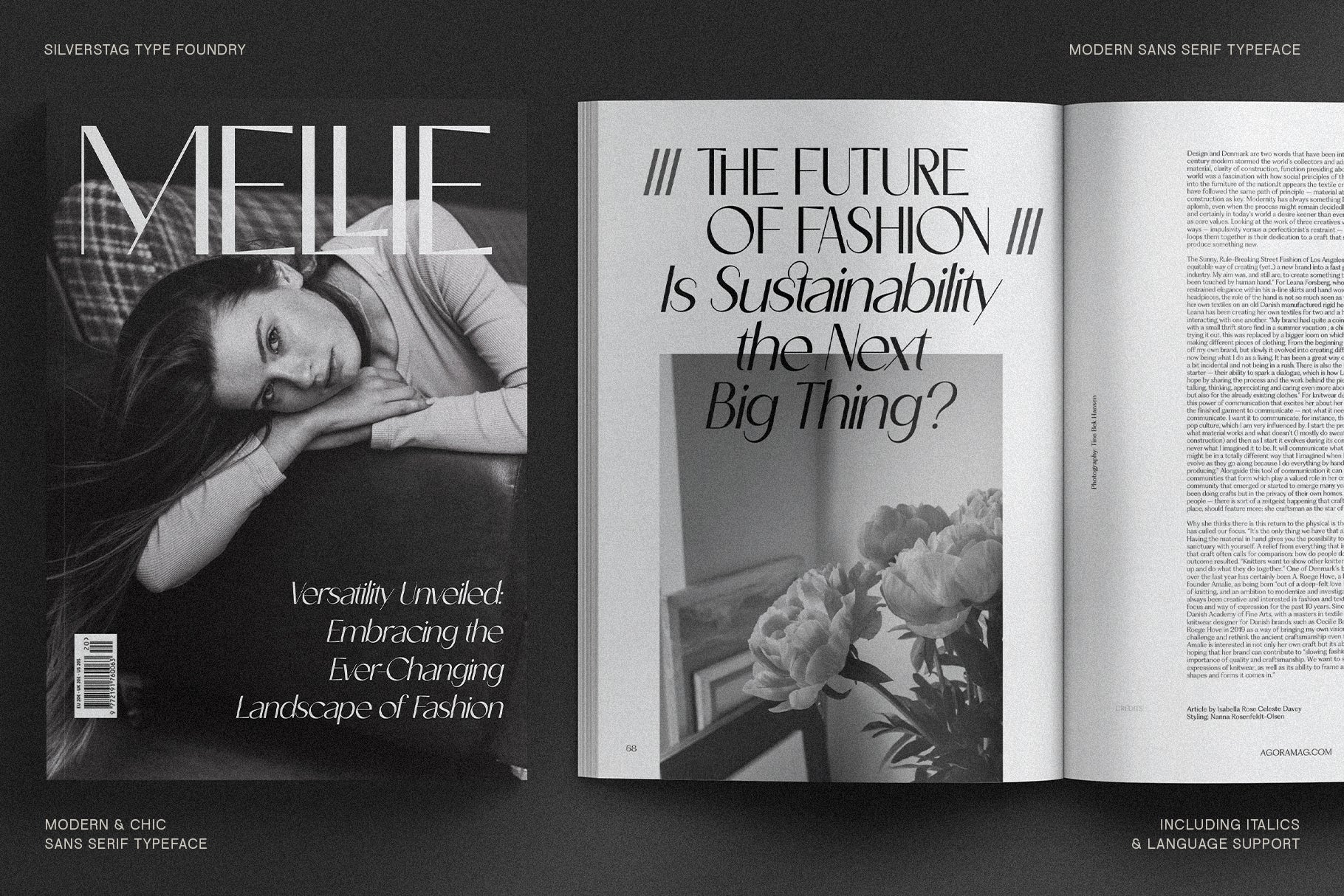 Castillet - Elegant Sans Serif Font With Italics