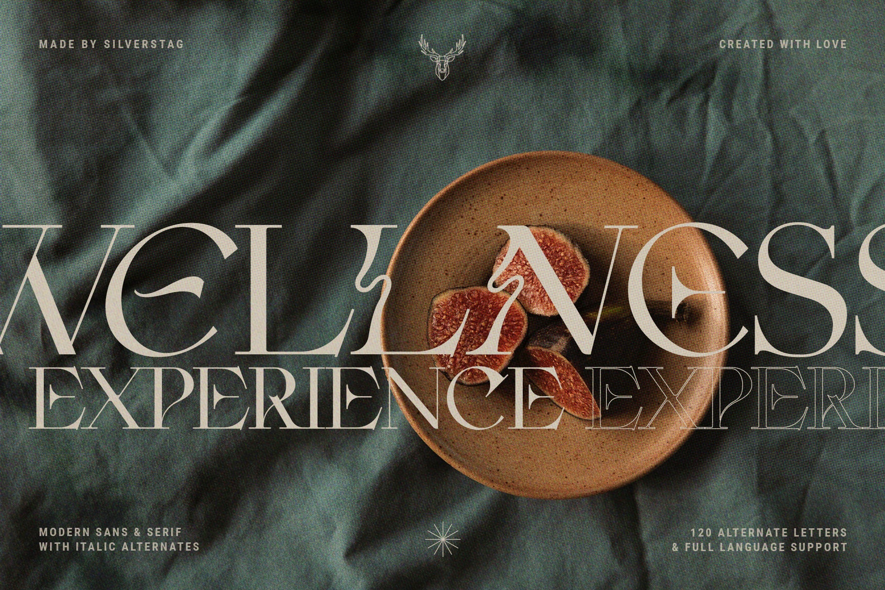 Fleur Display - Sans & Serif Font Duo