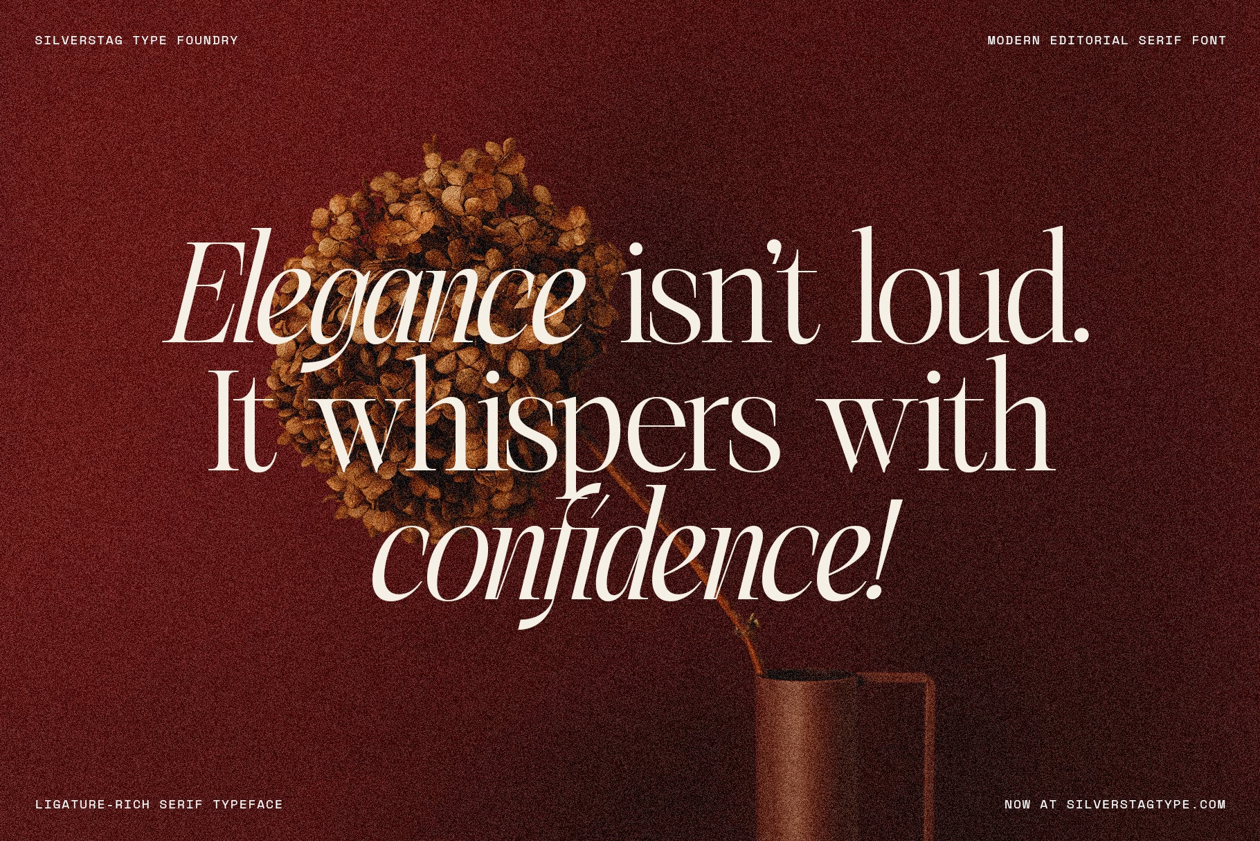 SLTF The Elfkin Editorial – Modern Serif Typeface