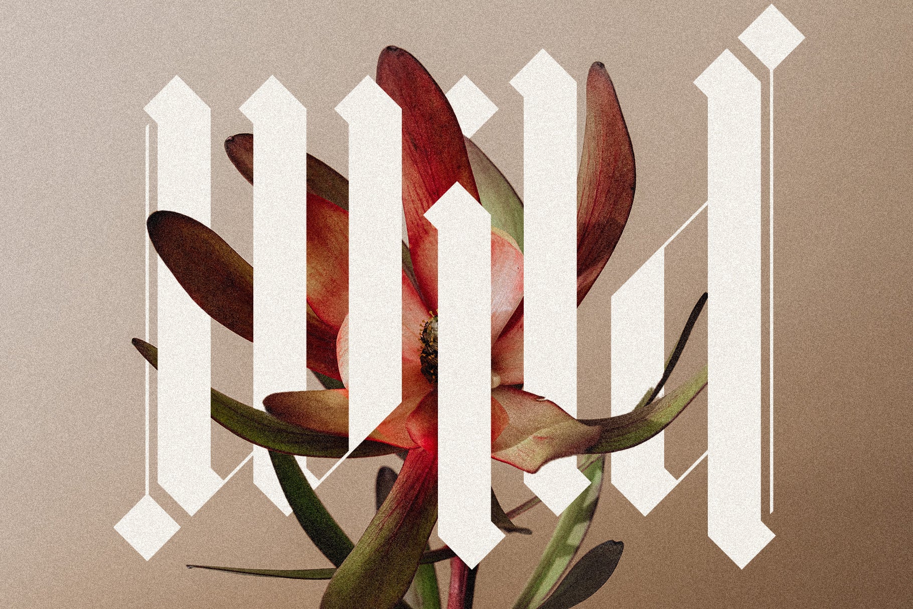 Rymaki - Modern Blackletter Font