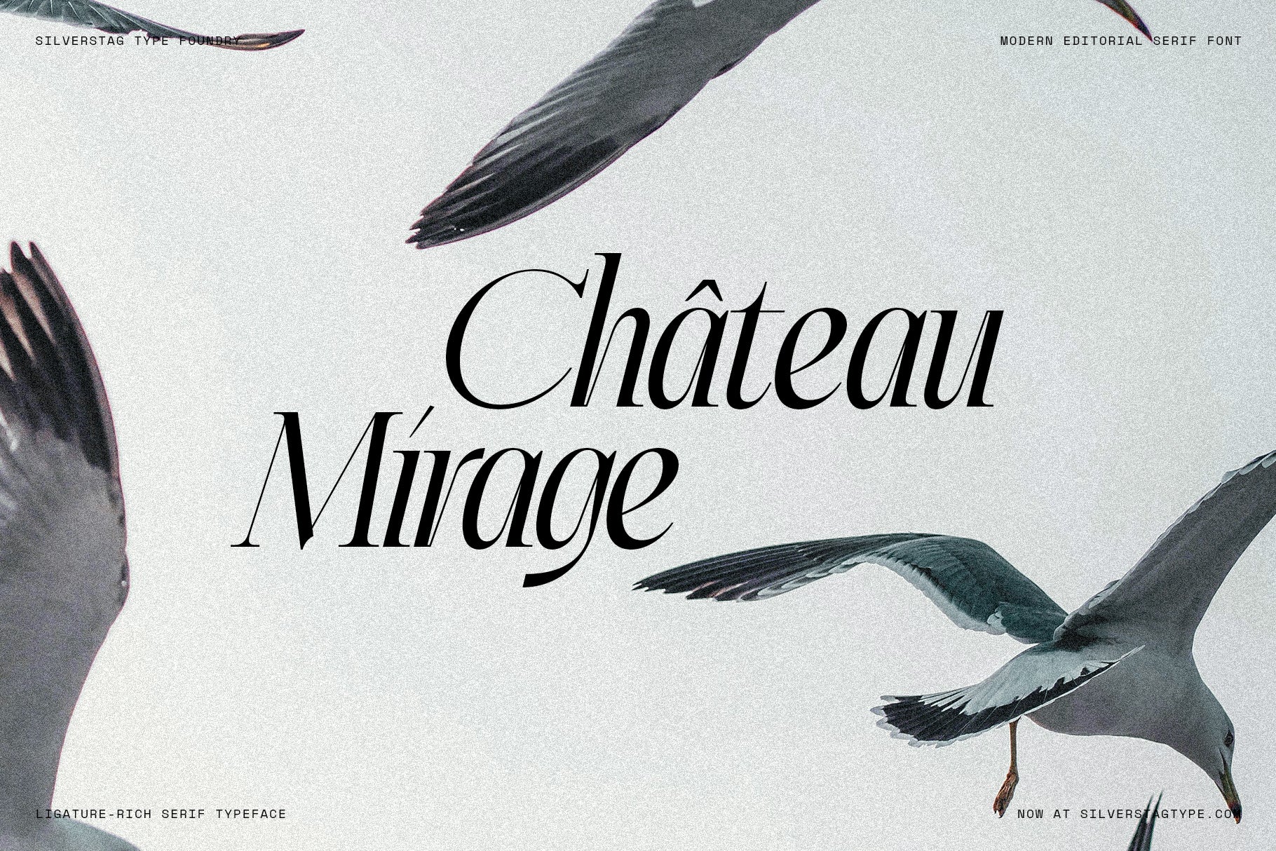 SLTF The Elfkin Editorial – Modern Serif Typeface