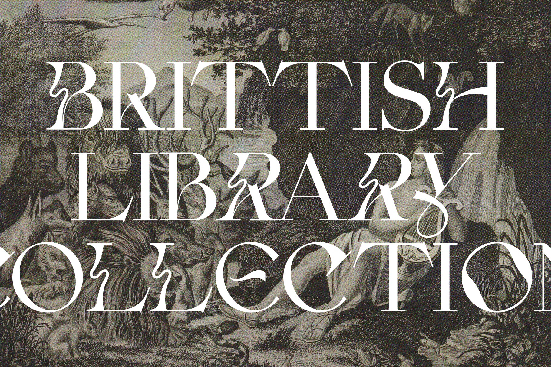 Fleur Display - Sans & Serif Font Duo