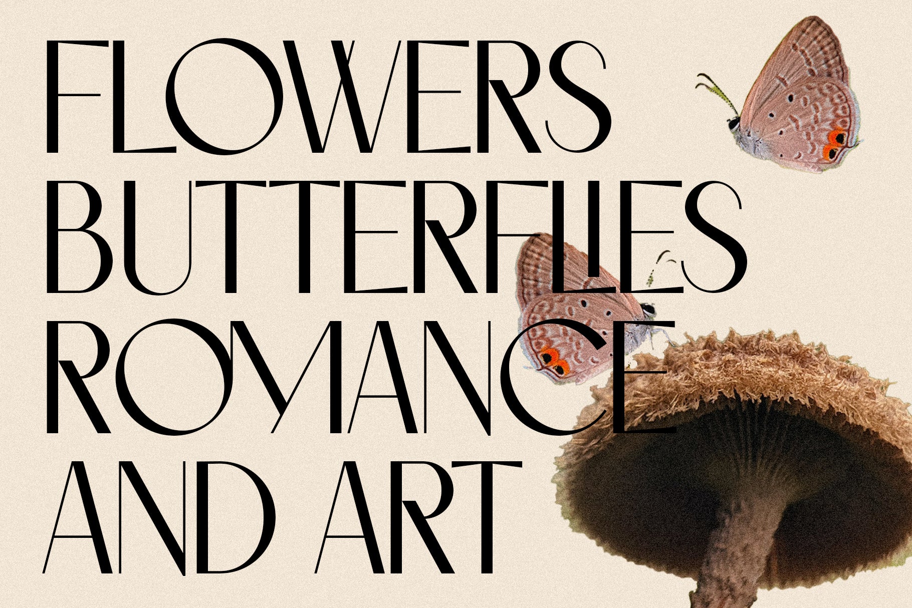 Castillet - Elegant Sans Serif Font With Italics