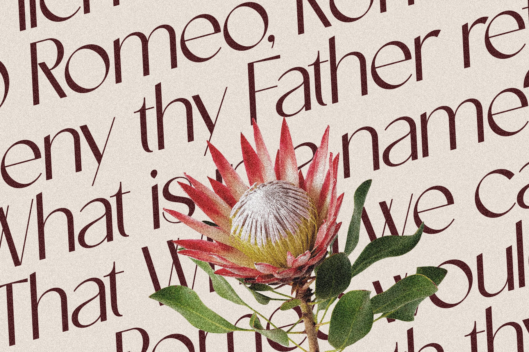 Castillet - Elegant Sans Serif Font With Italics