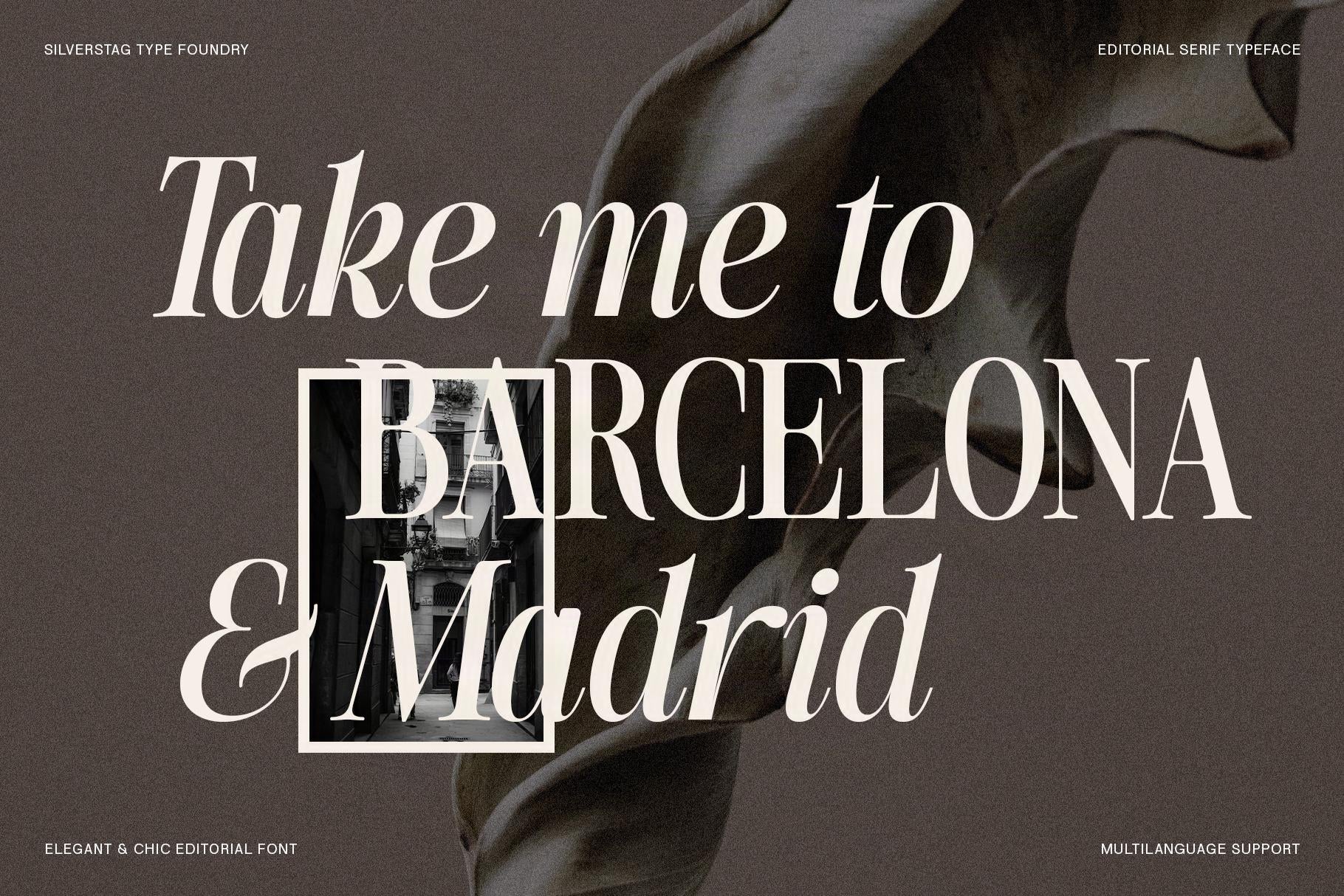 SLTF The Silver Editorial – A Nostalgic 18-Font Serif Typeface