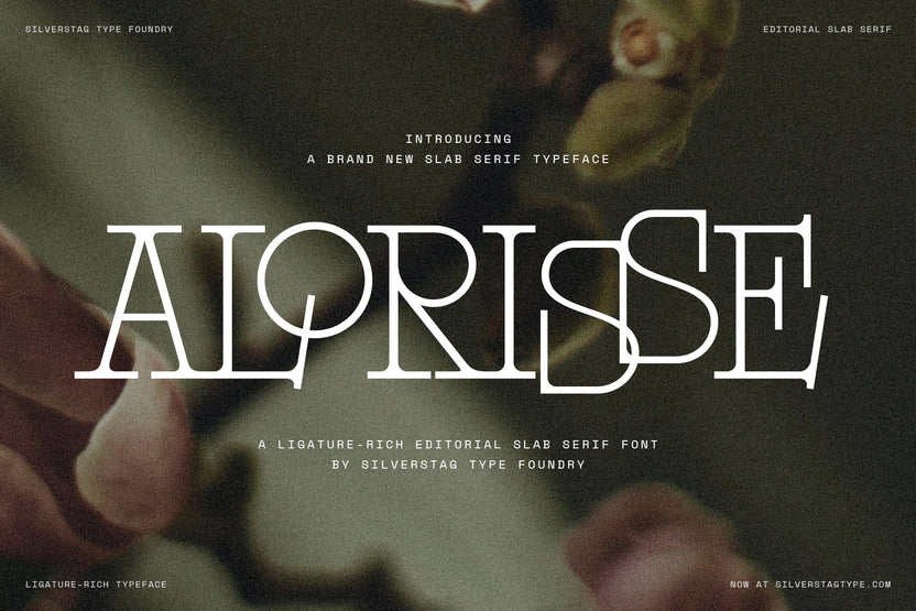 Editorial Serif Fonts for Magazines and Books - SilverStag Type Foundry