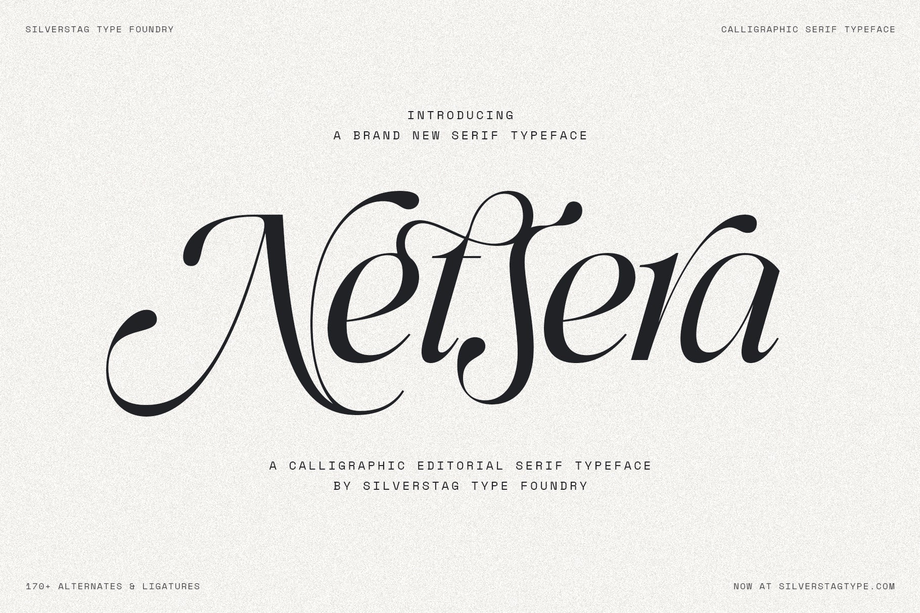 SLTF Netsera - Calligraphic Serif Typeface