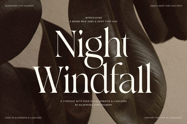 SLTF Night Windfall - Sans & Serif Font Duo