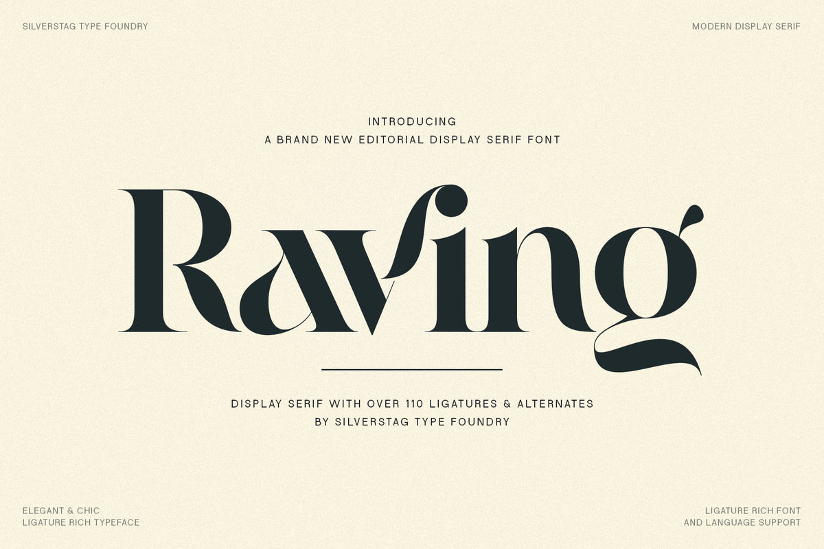 Magazines Script Font R Editorial Serif Fonts for Magazines and Books - SilverStag Type Foundry