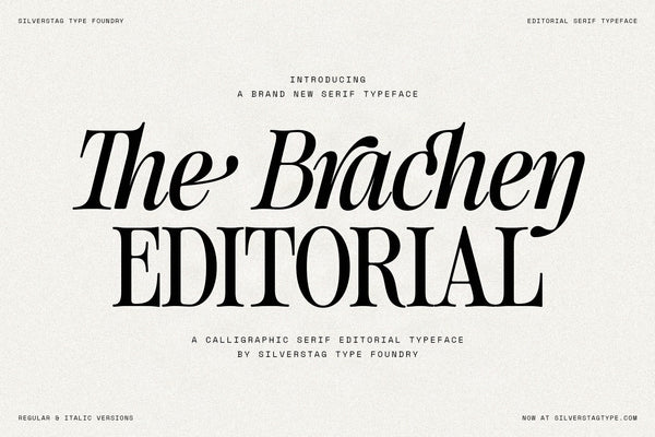SLTF The Brachen calligraphic editorial serif hero, the swashed words The Brachen Editorial in black on a cream background by SilverStag Type Foundry