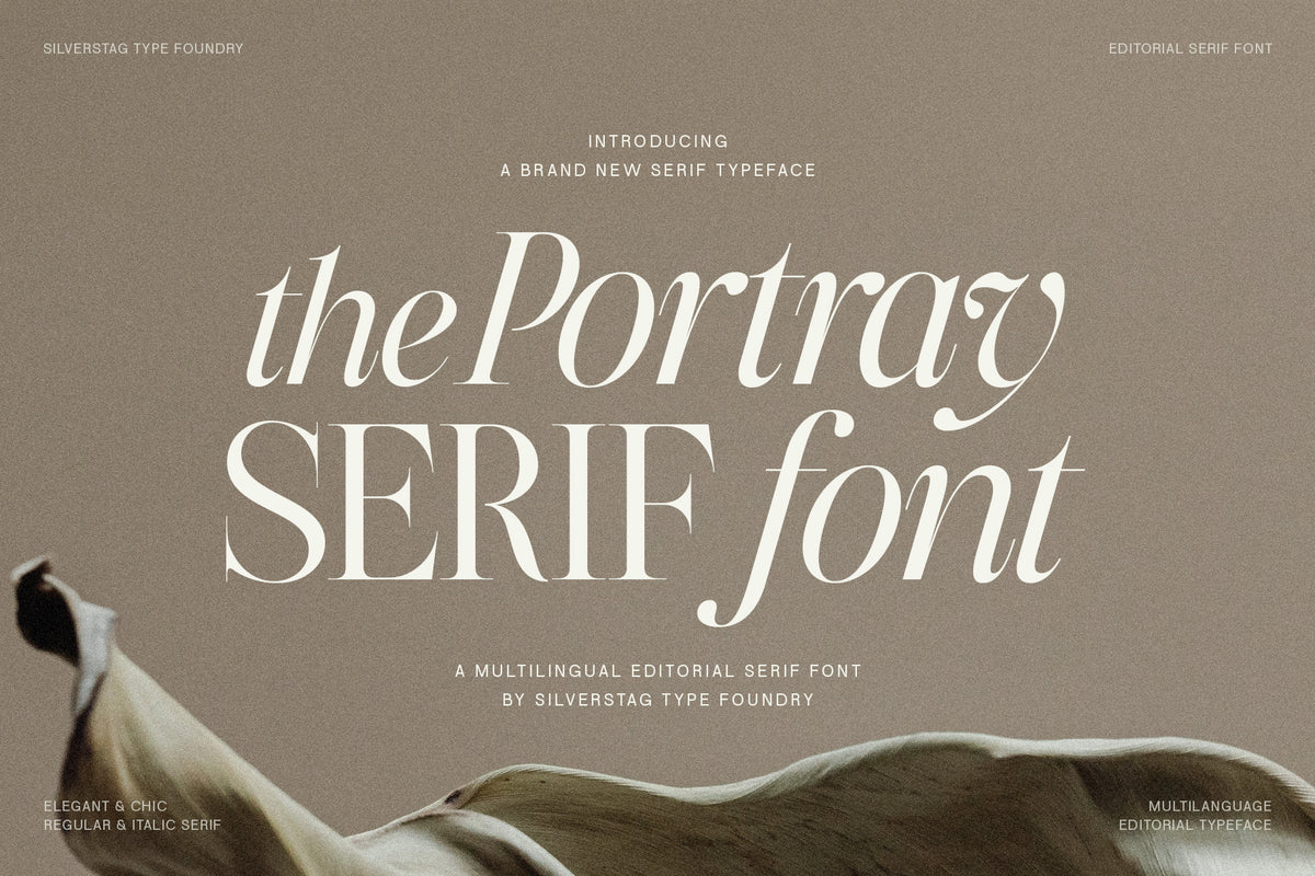 Serif Pattern Serif Fonts - Modern and Classic Typefaces - SilverStag Type Foundry