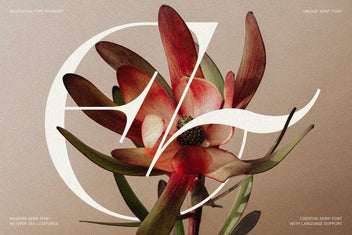 Amelie Fierce G and A ligature letterform over a red protea bloom on taupe