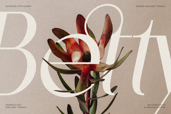 Castillet - Elegant Sans Serif Font With Italics