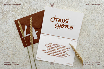 Citrus Shore font on a rust marker greeting card with dried wheat stalks and a terracotta number four card