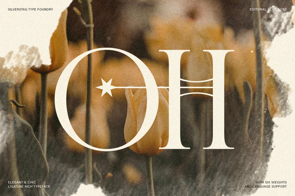 Cosmic Solace - Ligature Rich Serif Typeface