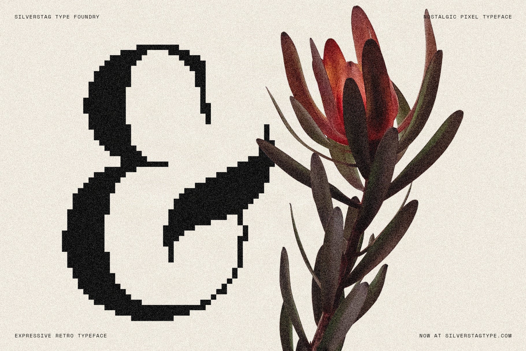 SLTF The Silver Editorial Pixel Version