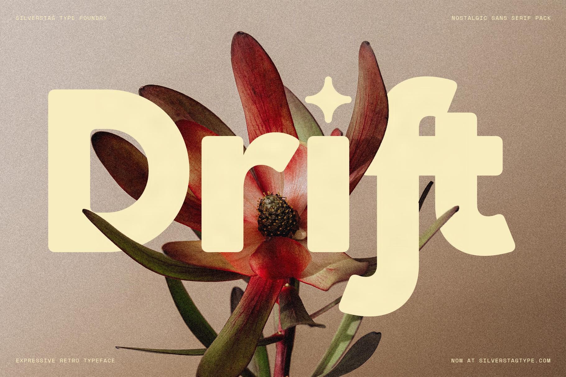 SLTF Saffielle - Bold & Expressive Retro Sans Serif Font