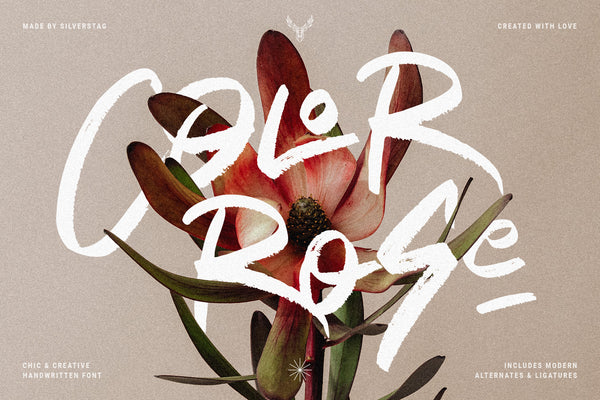 Better Charm - Modern HandWritten Brush Font