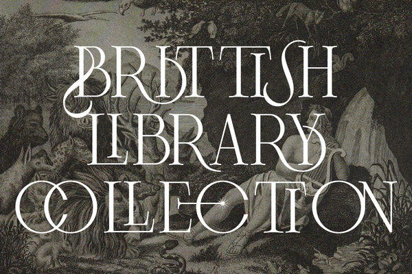 Frosty Garden - Elegant Retro Serif Font