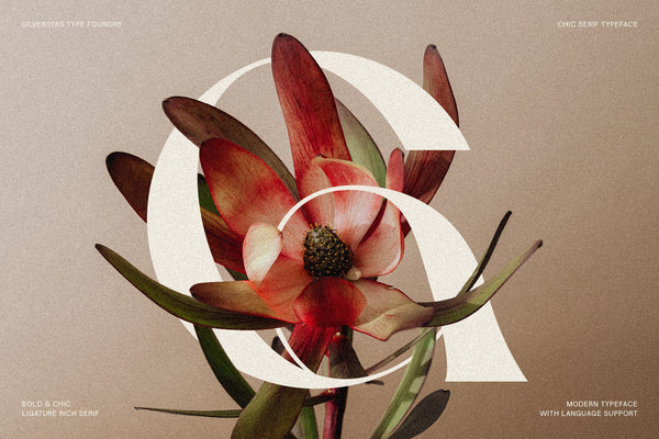 Gallica - A Powerful Ligature Serif Font