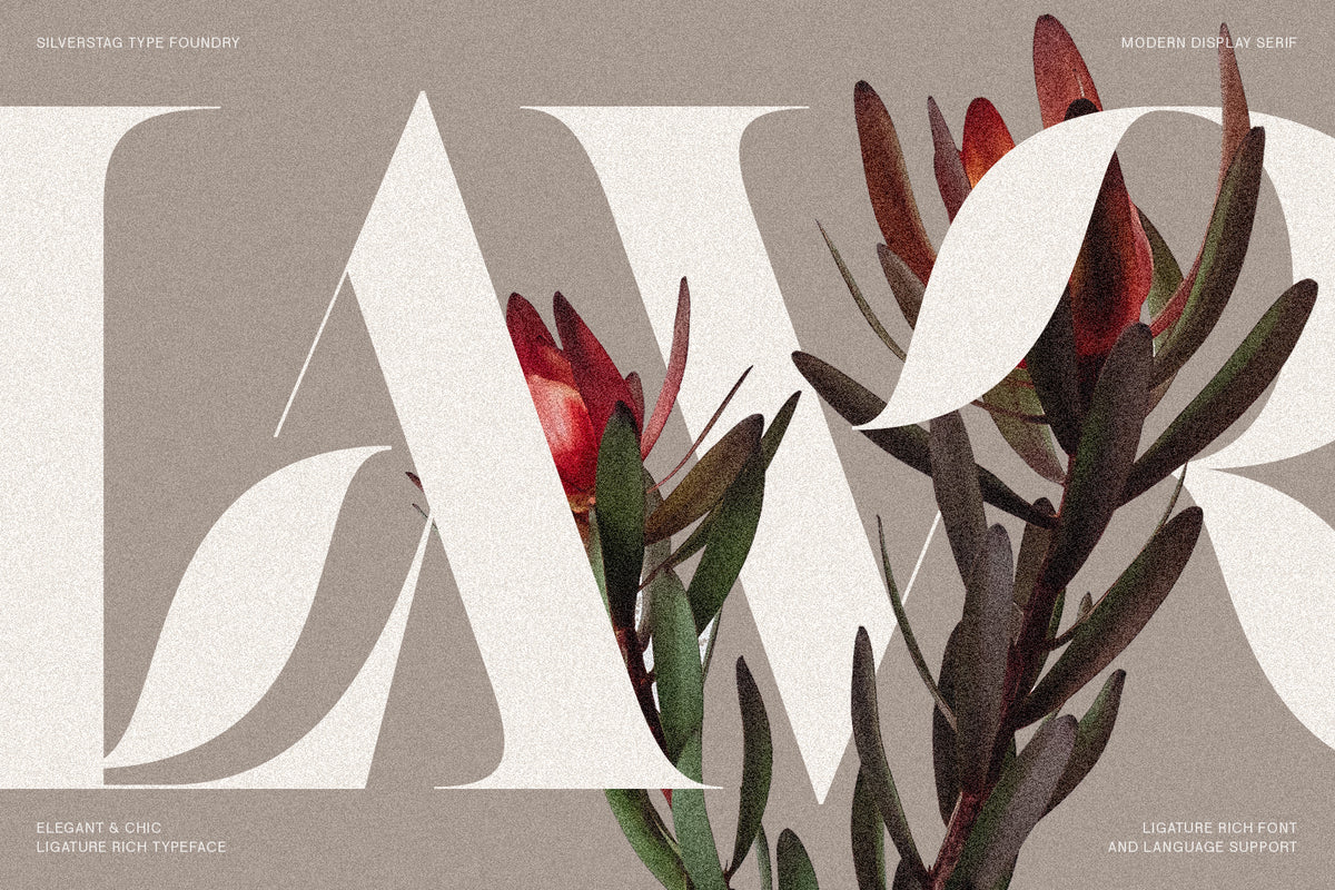 SilverStag Type Foundry | Modern Fonts with Character