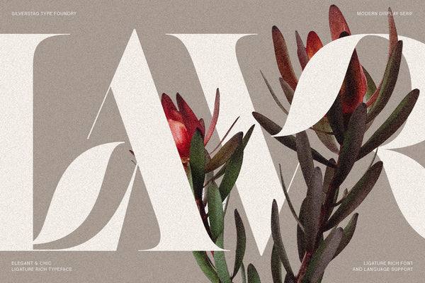 Raving - Editorial Display Serif Font