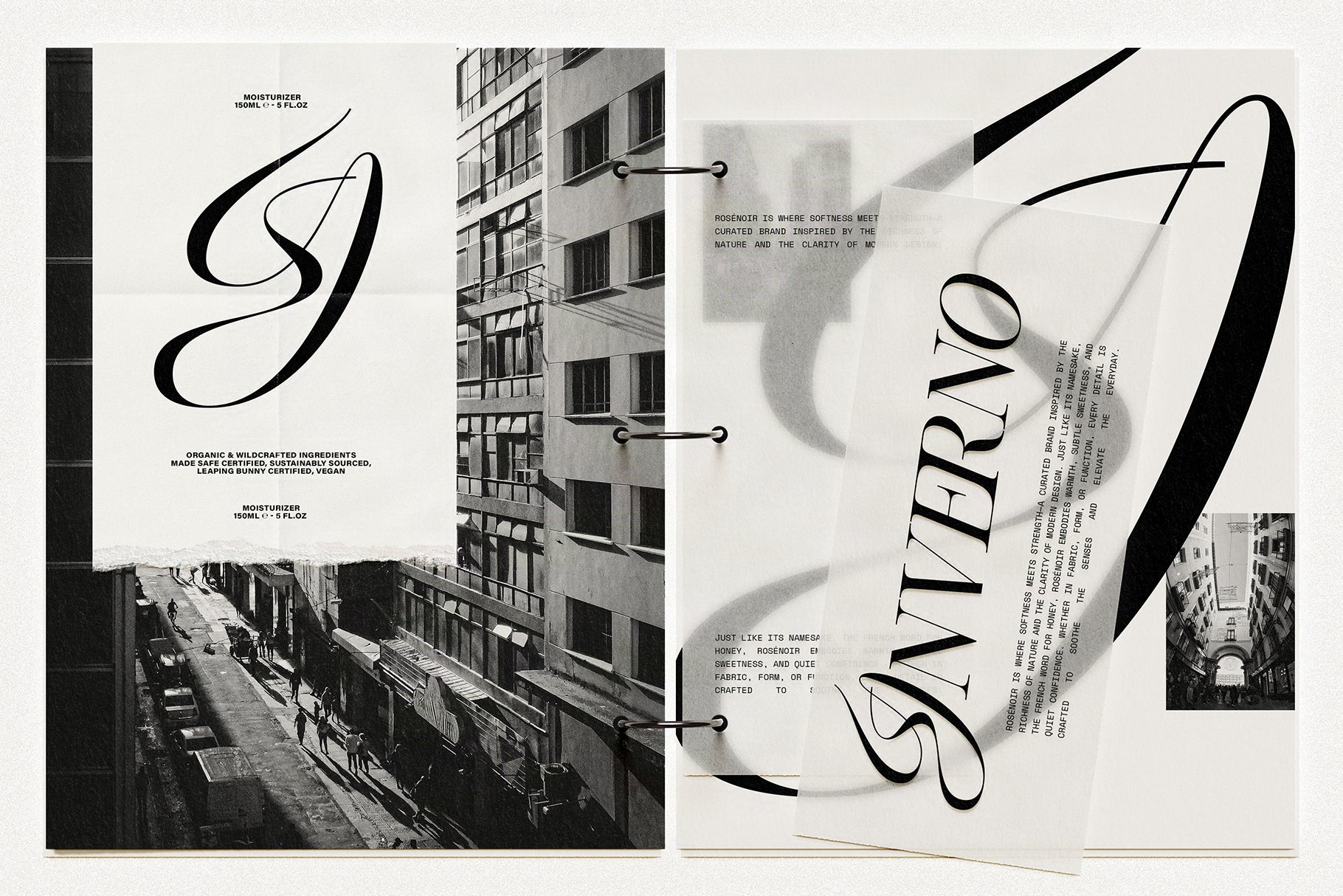 SLTF Hazel Shore - Modern Serif & Script Font Duo