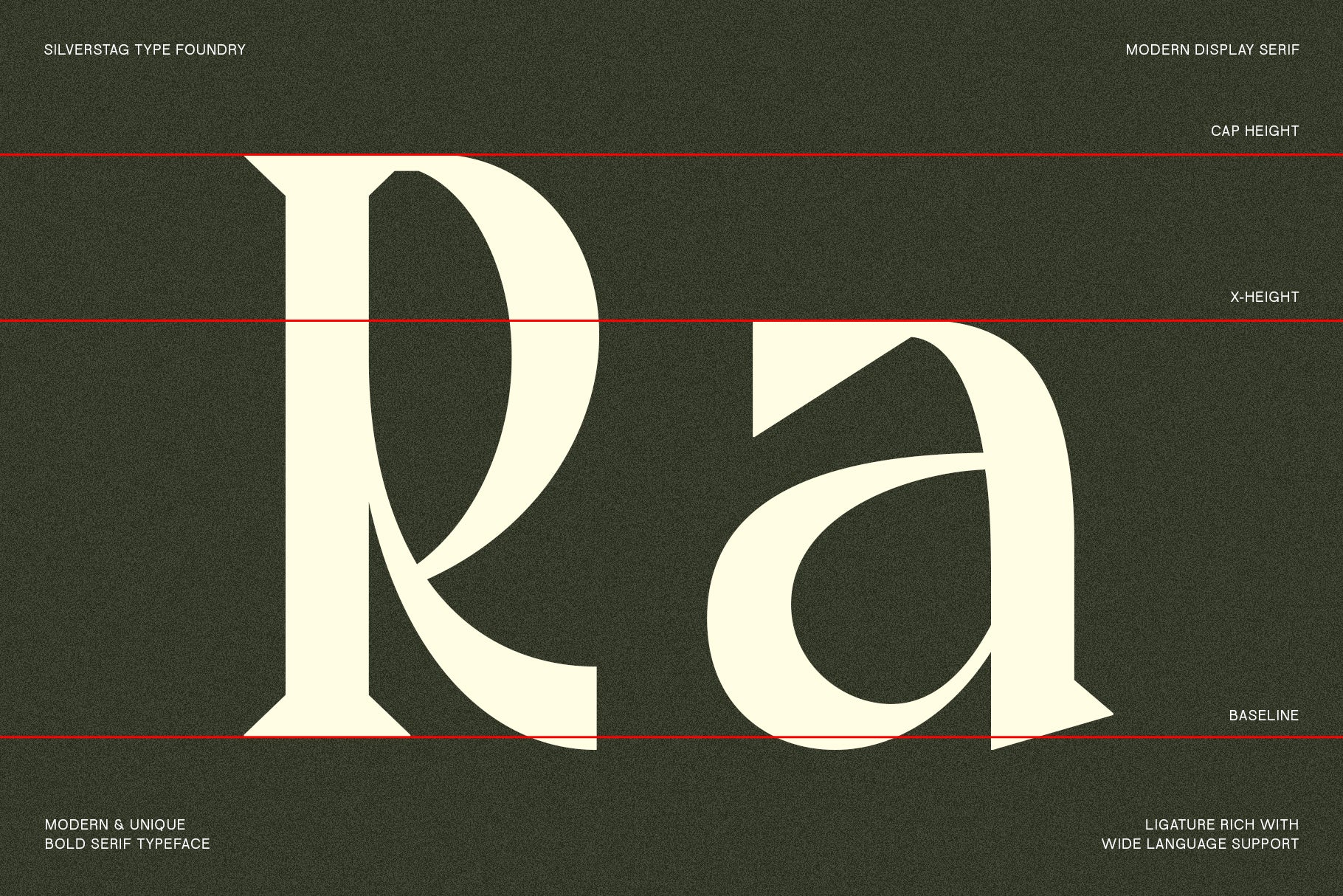 Tangled Rockaway - Vintage Serif Font