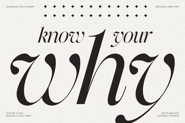 The Portray - Elegant Serif Typeface