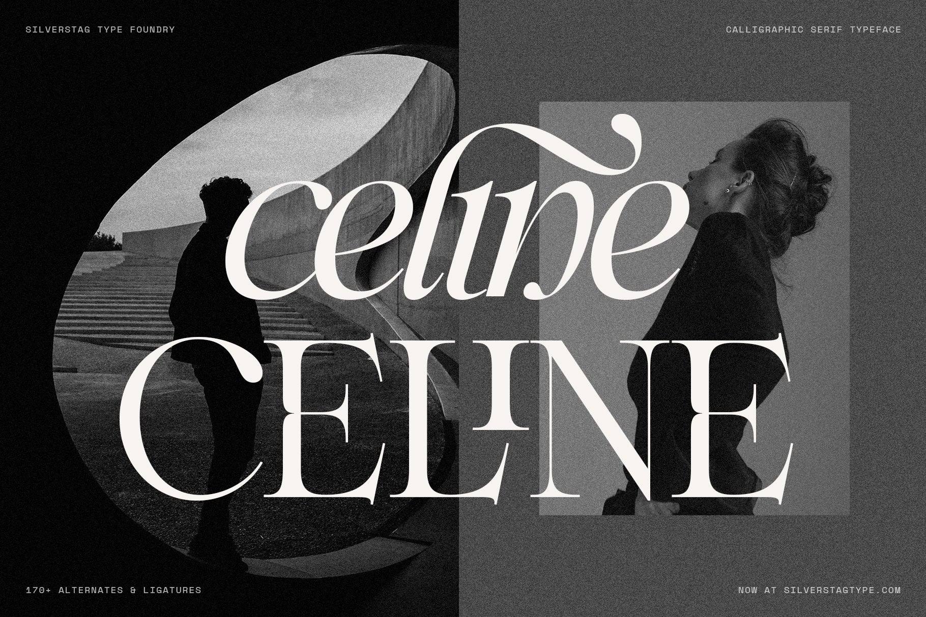 SLTF Netsera - Calligraphic Serif Typeface