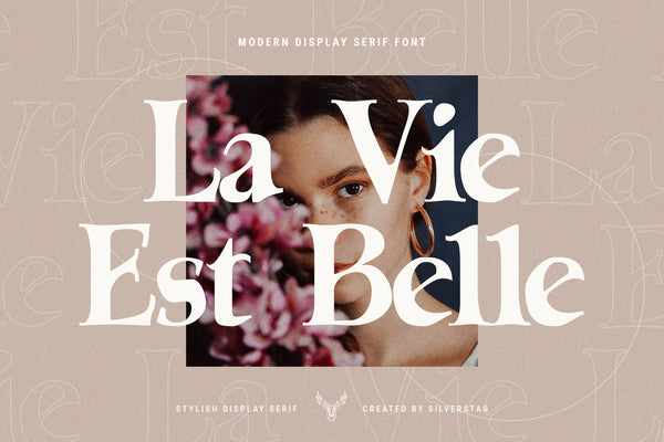Lumière - Modern Display Serif Font