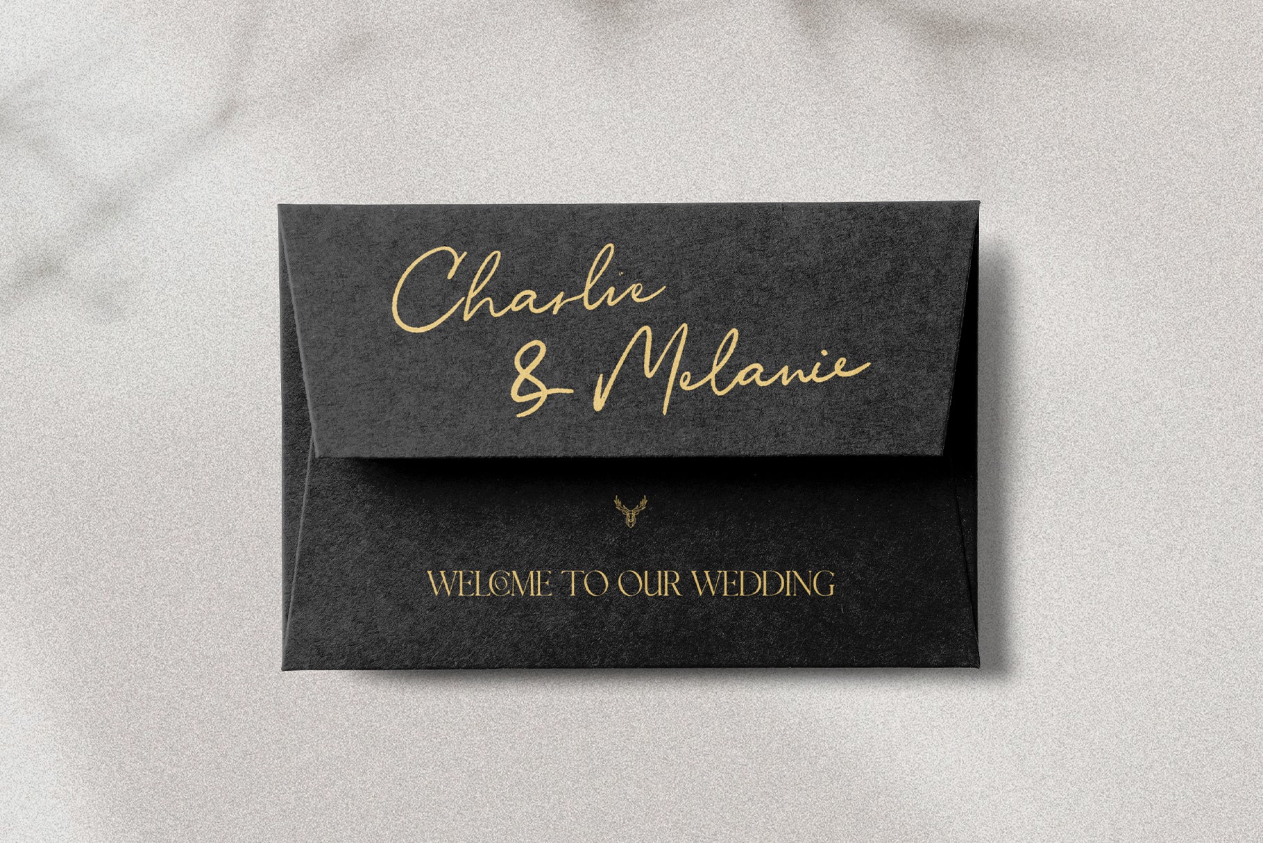 Riverside Lovers – A Romantic Serif & Script Font Duo with 300 ...