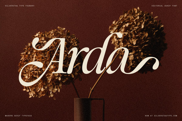 SLTF The Loneta Editorial - Calligraphic Editorial Serif