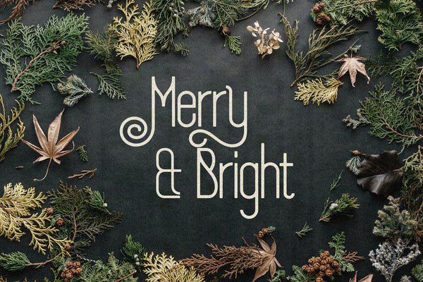 SLTF Holiday Whispers - A Soft Contemporary Serif