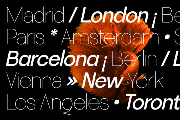 SLTF LaVilla Modern Neo-Grotesk Typeface