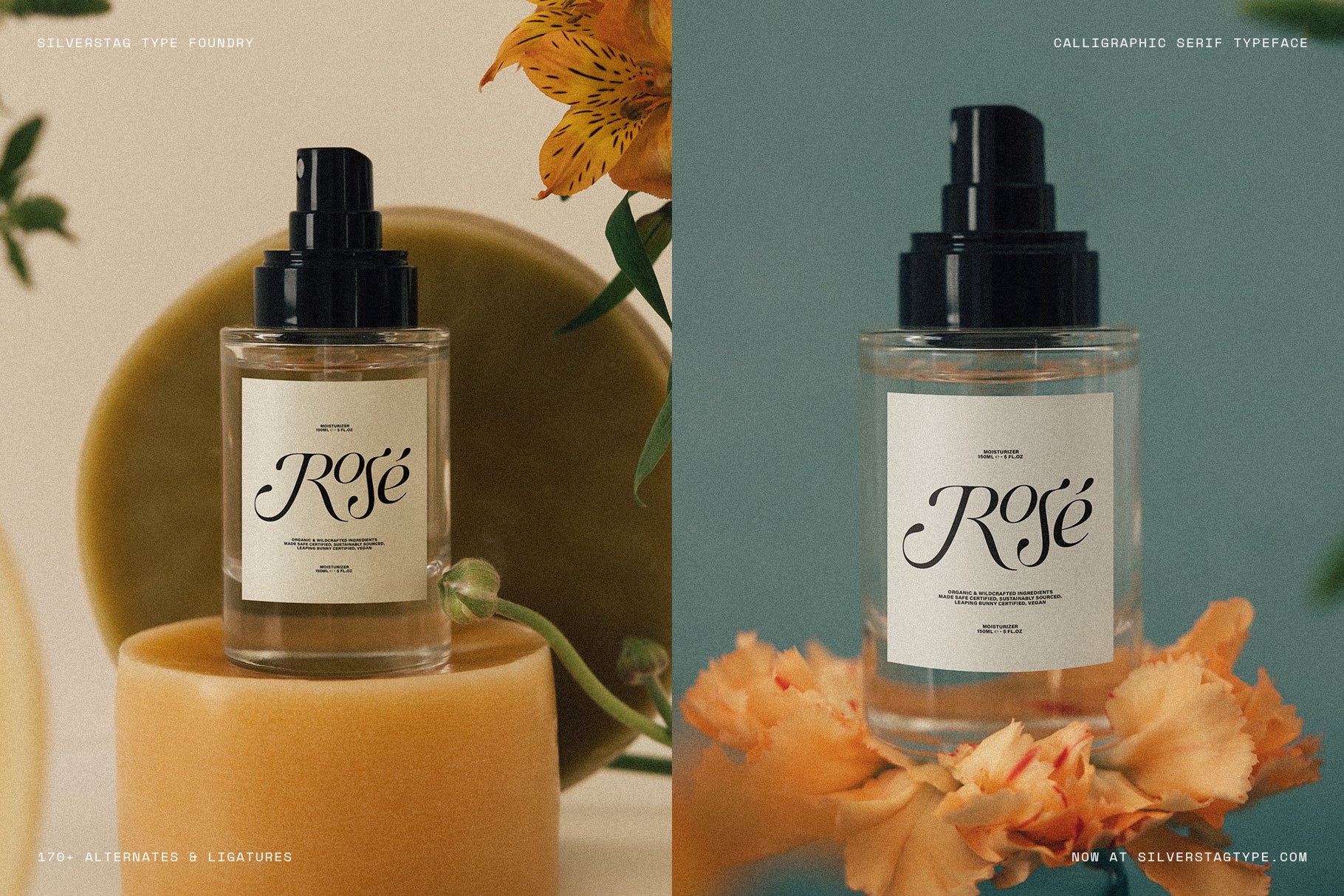 SLTF Netsera - Calligraphic Serif Typeface