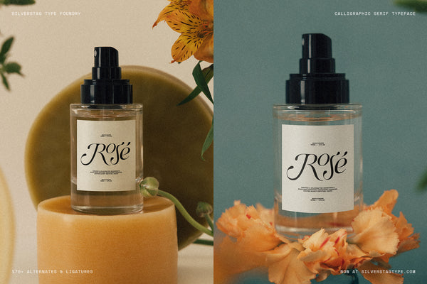 SLTF Netsera - Calligraphic Serif Typeface