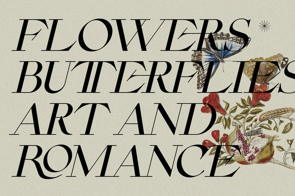 CINQUE TERRE | A Classic Serif Font