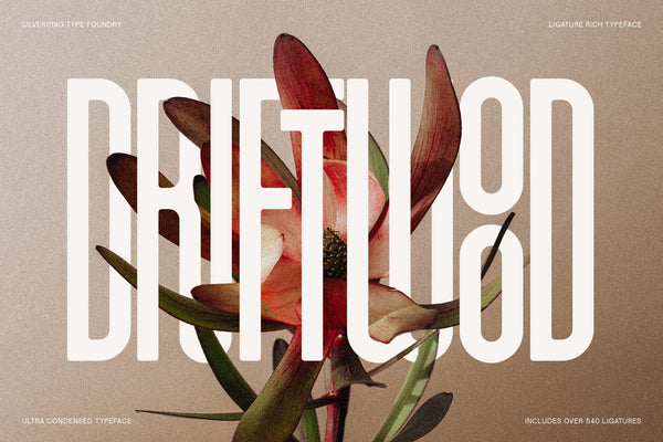 First Contact - Ultra Condensed Typeface (16 Fonts)