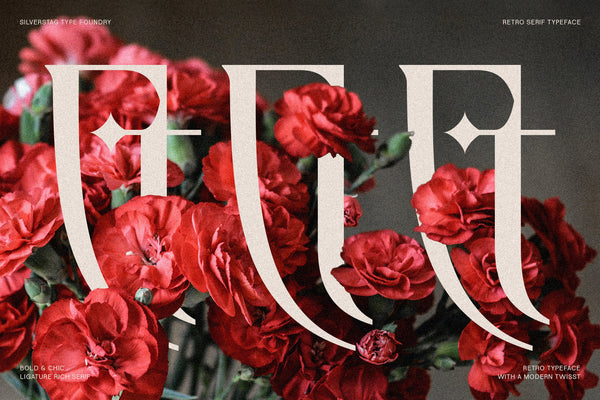 Fragilità - A Retro Ligature Rich Serif Font