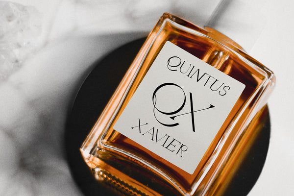 Quarx - Sans & Serif Modern Font Duo