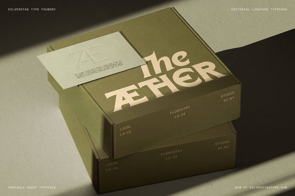 SLTF Arcilla Bold Italic applied to The Aether brand — box packaging design in olive green with dramatic raking shadow. The typeface spelling 'the Aether' combines a light italic 'the' with an all-caps Black weight wordmark. Shows Arcilla's versatility across luxury retail and product packaging design.